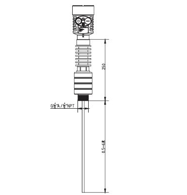 高溫導波雷達物位計外型尺寸圖